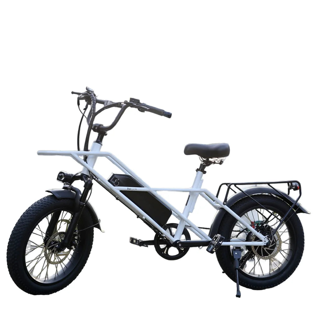 Adults Electric Folding Bike High-Quality 48V 20Ah Lithium Battery City Ebike with Disc Brakes 3 Speed Gear System
