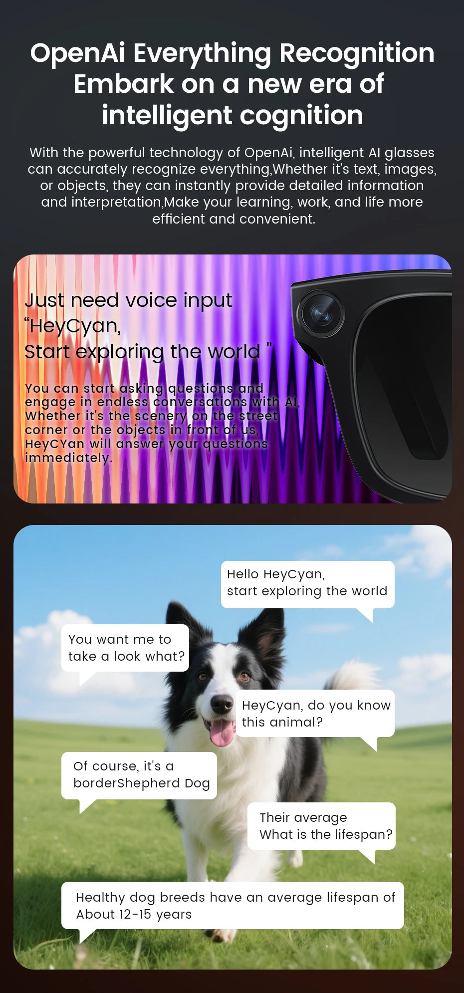 Smart Glasses 800W HD Photo Video AI Record Translation Touch Photochromic Lenses Bluetooth Call Music Multifunction Glasses