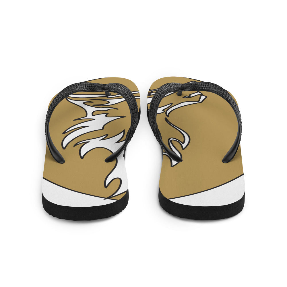 Flip-Flops RC