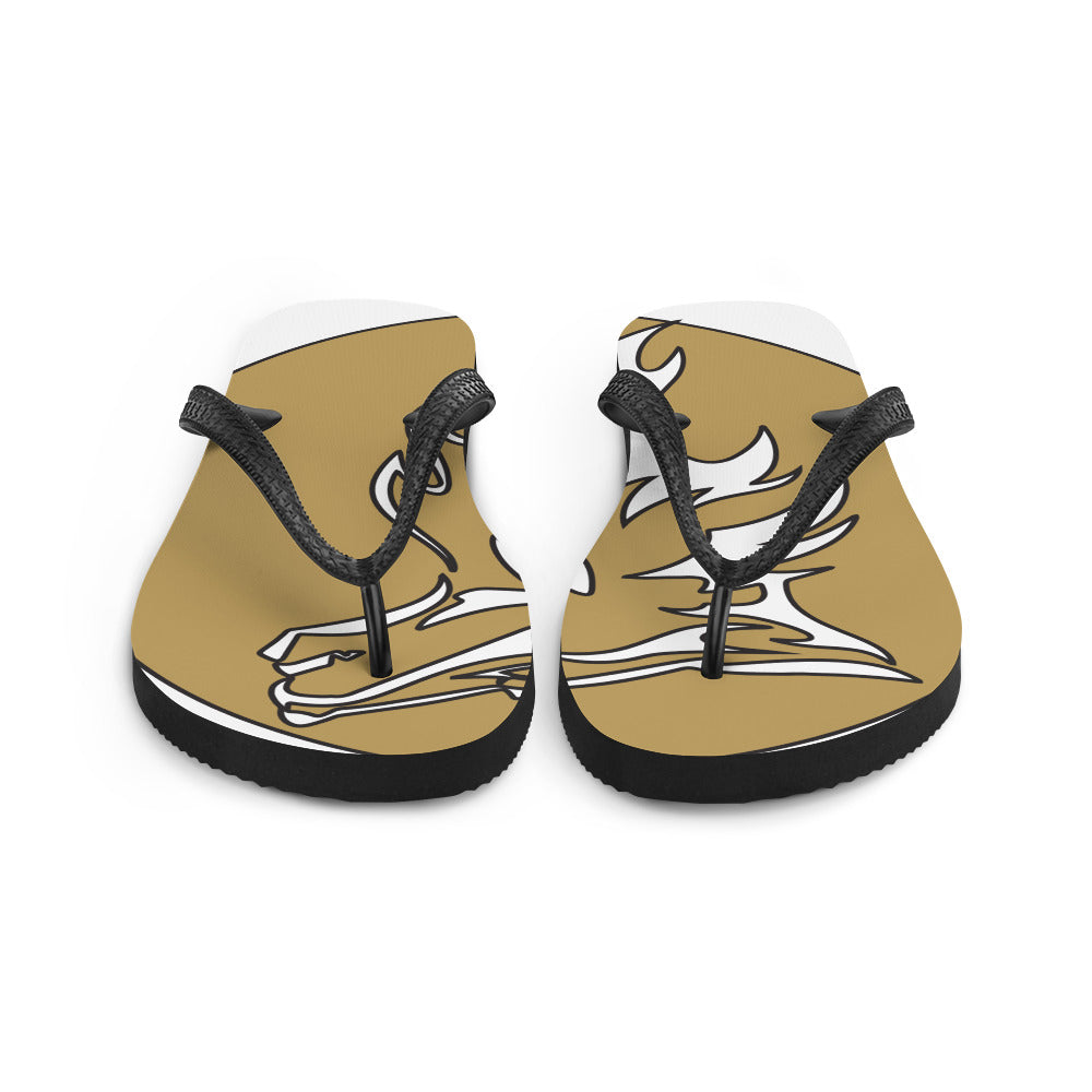 Flip-Flops RC