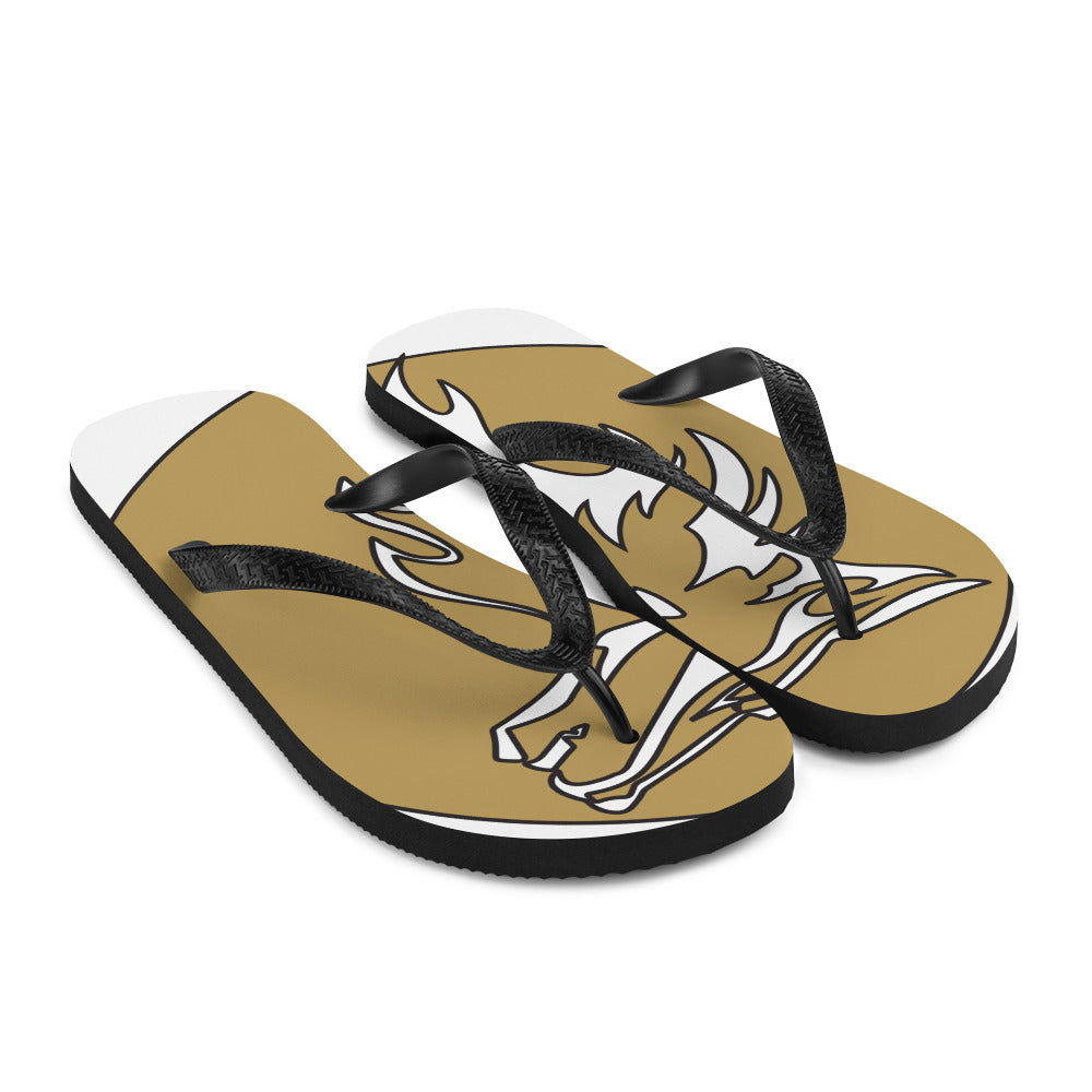 Flip-Flops RC