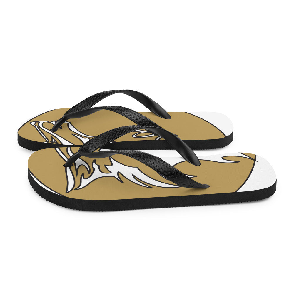 Flip-Flops RC
