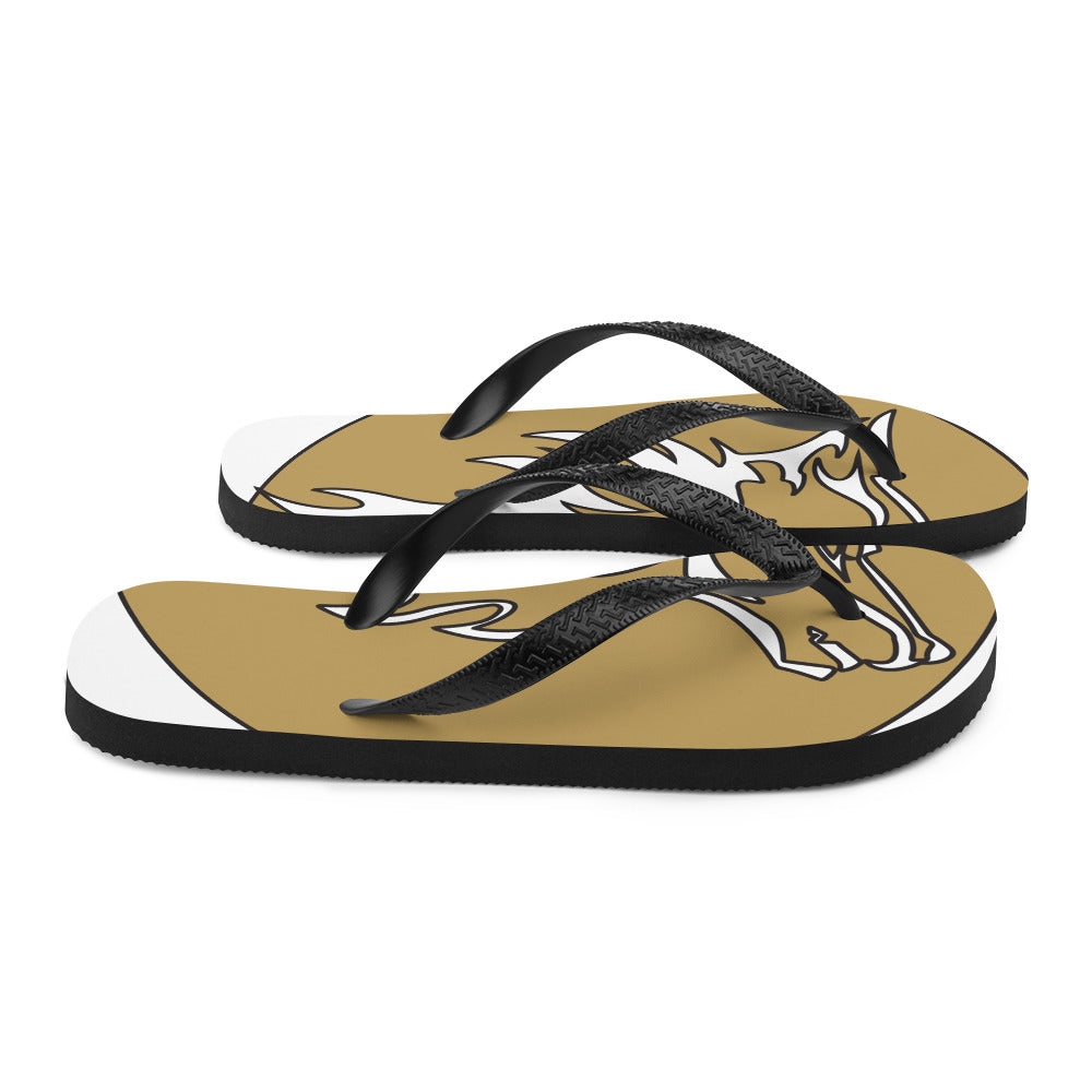 Flip-Flops RC